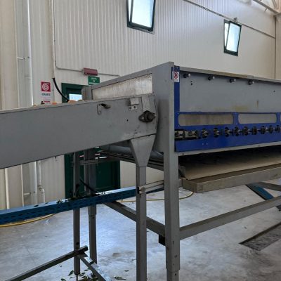 WhatsApp Image 2025-11-07 at 10.26.54