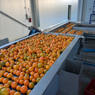 WhatsApp Image 2025-11-07 at 10.26.57 (1)