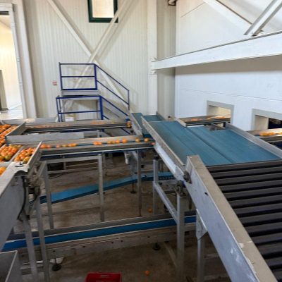 WhatsApp Image 2025-11-07 at 10.26.57