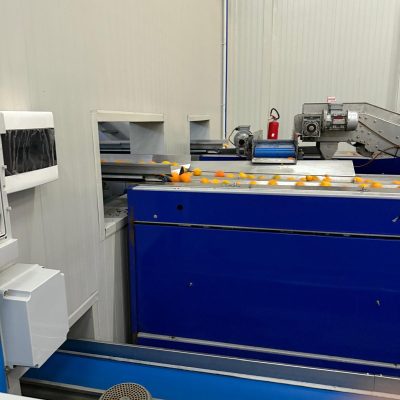 WhatsApp Image 2025-11-07 at 10.26.58