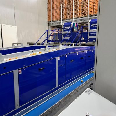 WhatsApp Image 2025-11-07 at 10.26.59