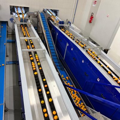 WhatsApp Image 2025-11-07 at 10.27.00 (1)