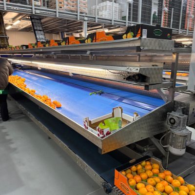 WhatsApp Image 2025-11-07 at 10.27.02