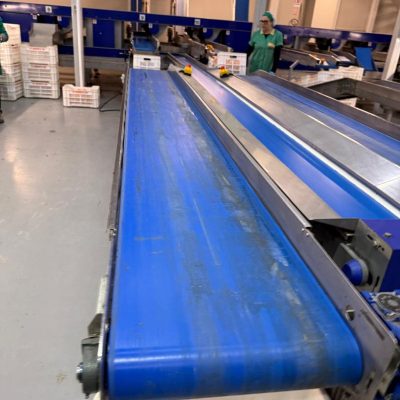 WhatsApp Image 2025-11-07 at 10.27.03 (1)