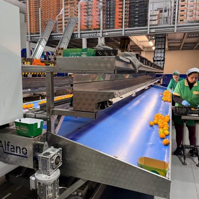 WhatsApp Image 2025-11-07 at 10.27.03 (2)