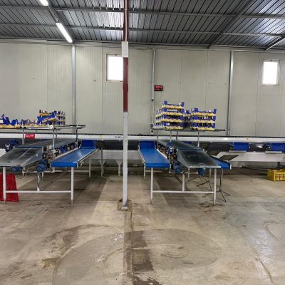 WhatsApp Image 2025-11-25 at 10.31.15 (7)