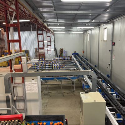 WhatsApp Image 2025-11-25 at 10.31.16 (5)