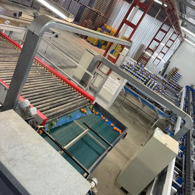 WhatsApp Image 2025-11-25 at 10.31.17 (4)