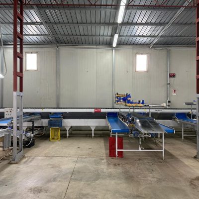 WhatsApp Image 2025-11-25 at 10.31.17 (8)