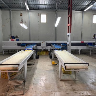 WhatsApp Image 2025-11-25 at 10.31.18 (3)