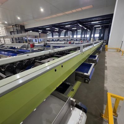 WhatsApp Image 2025-11-28 at 11.54.26 (3)