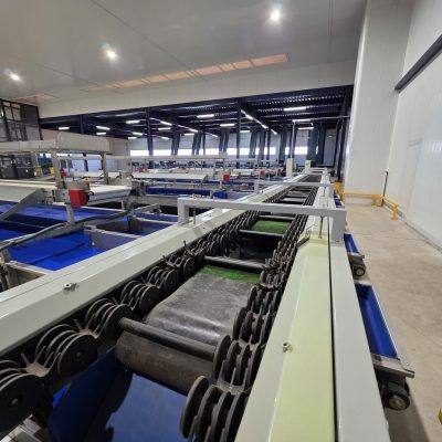 WhatsApp Image 2025-11-28 at 11.54.26 (4)