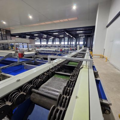 WhatsApp Image 2025-11-28 at 11.54.26 (5)