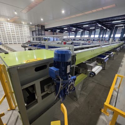 WhatsApp Image 2025-11-28 at 11.54.26 (7)