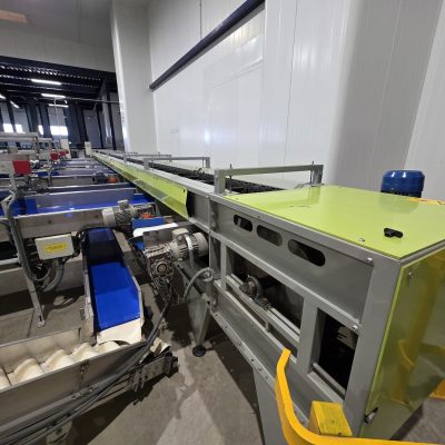 WhatsApp Image 2025-11-28 at 11.54.27 (1)