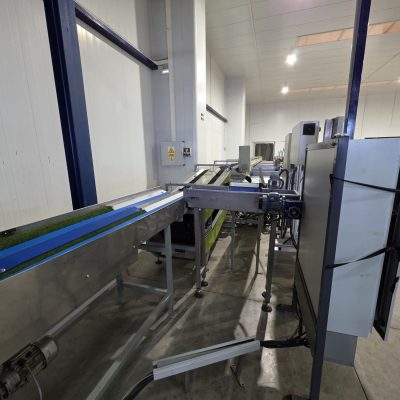 WhatsApp Image 2025-11-28 at 11.54.28 (3)