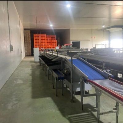 WhatsApp Image 2025-11-28 at 12.14.51