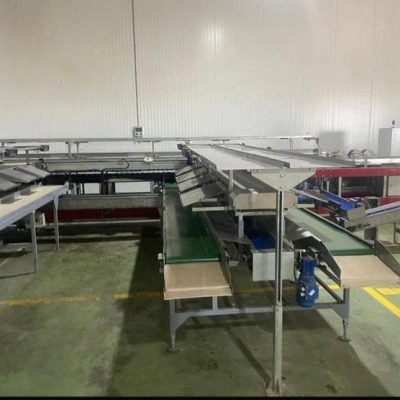 WhatsApp Image 2025-11-28 at 12.15.33