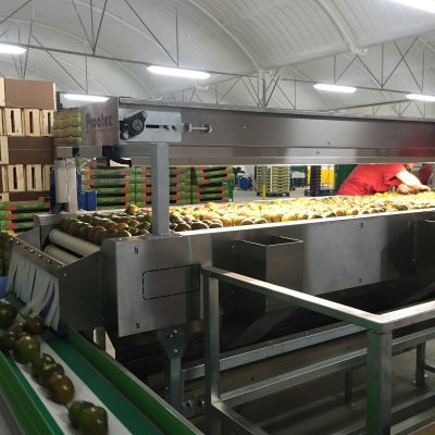 WhatsApp Image 2025-12-01 at 11.12.32 (3)