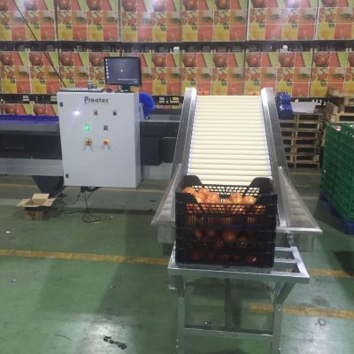 WhatsApp Image 2025-12-01 at 11.12.32