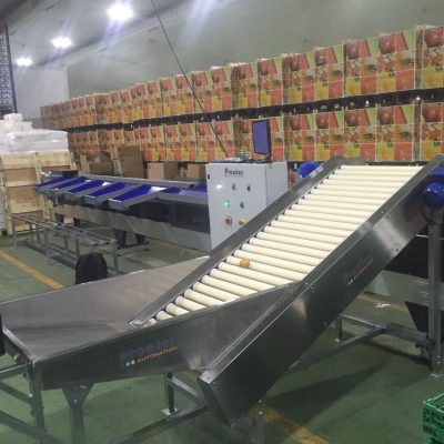 WhatsApp Image 2025-12-01 at 11.12.33