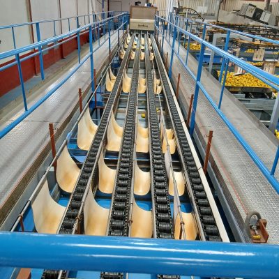 WhatsApp Image 2025-12-03 at 13.02.12 (1)