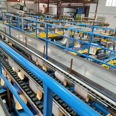 WhatsApp Image 2025-12-03 at 13.02.13 (1)