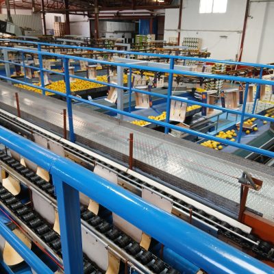 WhatsApp Image 2025-12-03 at 13.02.13