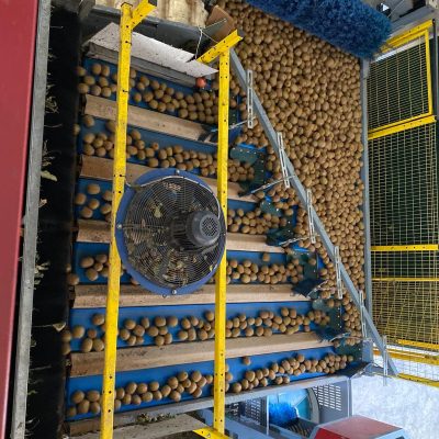 WhatsApp Image 2025-12-04 at 10.00.02