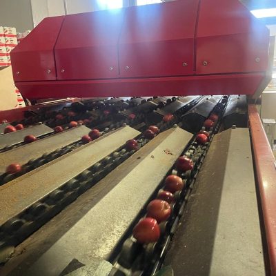 WhatsApp Image 2025-12-04 at 10.24.40 (1)