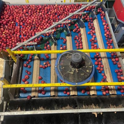 WhatsApp Image 2025-12-04 at 10.24.40 (2)