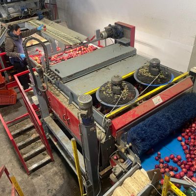 WhatsApp Image 2025-12-04 at 10.24.40 (3)