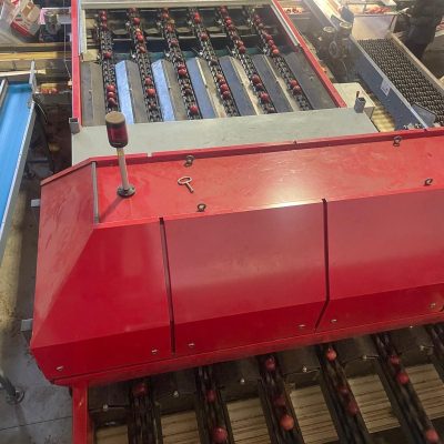 WhatsApp Image 2025-12-04 at 10.24.40 (4)