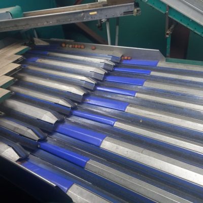 WhatsApp Image 2025-12-15 at 16.15.59 (1)