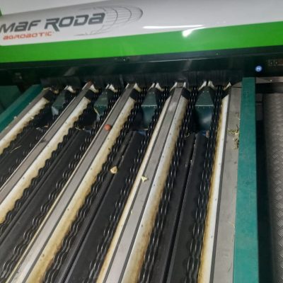 WhatsApp Image 2025-12-15 at 16.16.00 (1)