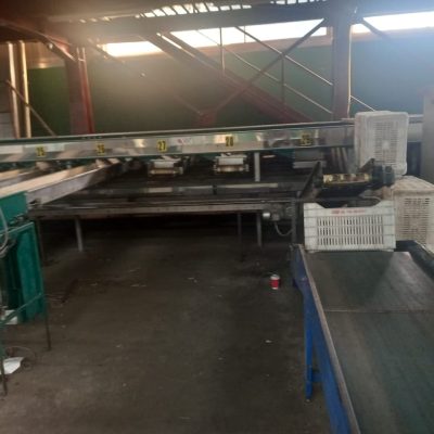 WhatsApp Image 2025-12-15 at 16.16.01 (2)