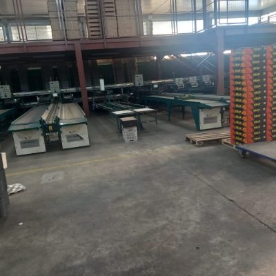 WhatsApp Image 2025-12-15 at 16.16.02 (3)