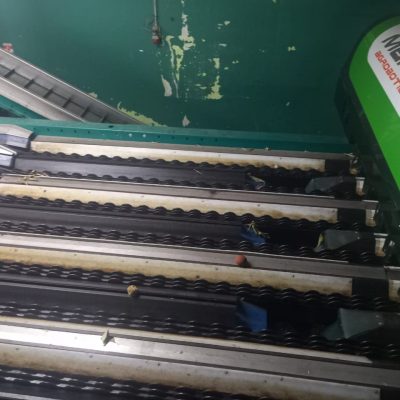 WhatsApp Image 2025-12-15 at 16.16.02