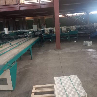 WhatsApp Image 2025-12-15 at 16.16.03 (4)