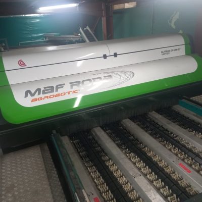 WhatsApp Image 2025-12-15 at 16.16.05