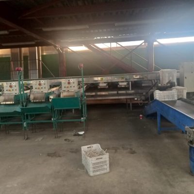 WhatsApp Image 2025-12-15 at 16.16.09