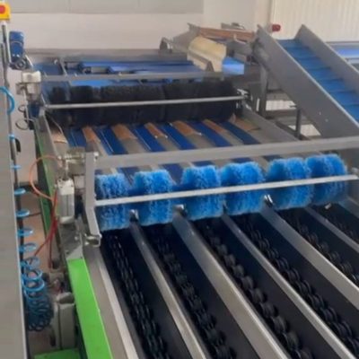 WhatsApp Image 2025-12-15 at 17.35.46 (1)