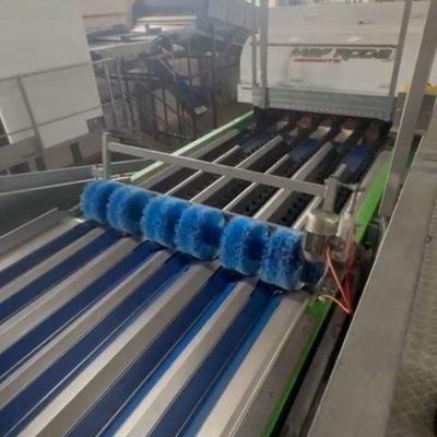 WhatsApp Image 2025-12-15 at 17.35.46 (5)