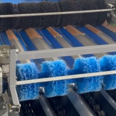 WhatsApp Image 2025-12-15 at 17.35.46 (6)