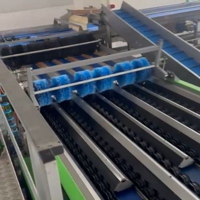 WhatsApp Image 2025-12-15 at 17.35.46