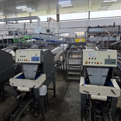 WhatsApp Image 2025-12-16 at 22.34.53 (1)