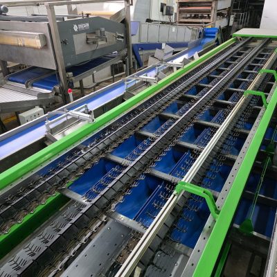 WhatsApp Image 2025-12-16 at 22.34.53 (2)