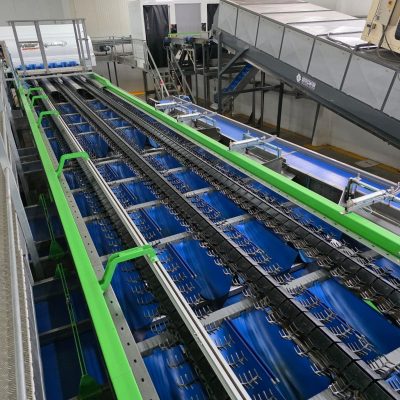 WhatsApp Image 2025-12-16 at 22.34.53 (3)