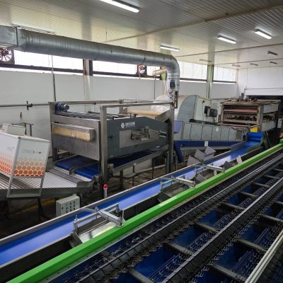 WhatsApp Image 2025-12-16 at 22.34.53 (4)