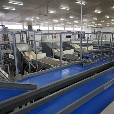 WhatsApp Image 2025-12-16 at 22.34.53 (5)